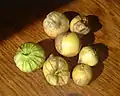 Tomatillos der Azteken: Diese Früchte sind verwandt mit denen, die wir heute Tomaten nennen.