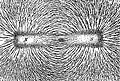 Eisenspäne richten sich nach dem Kraftfeld eines Magneten aus.