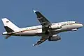 Dieses Flugzeug der deutschen Luftwaffe ist ein Airbus A319. Es ist für den Bundeskanzler und bestimmte andere Politiker da.