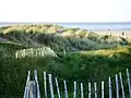 Am Strand von Castlerock