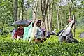 Auch diese Frauen in Indien schützen sich bei der Feldarbeit vor der Sonne.