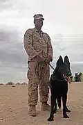 Dieser hier dient bei der Armee.