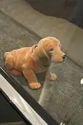 Ein Wackel-Dackel im Auto