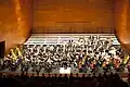 Im Orchester spielen Geigen oft die erste Stimme, das ist meistens die Melodie des Musikstücks.