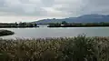 Wo der Rhein in den Bodensee mündet, bildet er ein Binnendelta.