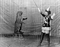 Um das Jahr 1900: Eine Dompteuse, also ein weiblicher Dompteur, mit einem Leoparden.