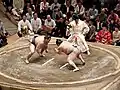 Beginn eines Sumō-Kampfs