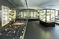 In Köln steht das Besteckmuseum Glaub.