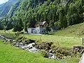 Dieser Bach ist schon weniger steil und etwas langsamer.