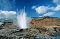 Ein Geysir im Haukadalur