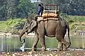 Ein Asiatischer Elefant, zurechtgemacht für Urlauber.