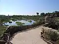 Im Afrika-Teil des Zoos
