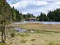 Die schwimmenden Inseln im Großen Arbersee