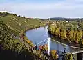 An den Hängen zum Fluss Neckar wird Wein angebaut.