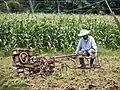 Wenn dies die beste Maschine in der Landwirtschaft ist, befindet man sich in einem Entwicklungsland.