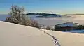 Bayerische Rhön: Bei den Hexenbuchen hat es geschneit.