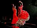 Der Flamenco ist eine Musik und ein dazugehöriger Tanz aus Spanien.