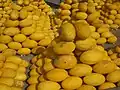Melonen auf einem Markt in Tunesien