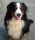 Sie sind aber auch sehr freundlich.