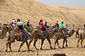 Touristen auf einer Karawane mit Kamelen, in der Inneren Mongolei in China