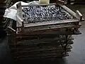 Schoten nach dem Trocknen