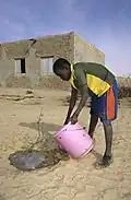 Ein Junge im Staat Mali pflanzt einen Baum.