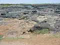 Das Flussbett des Niger während der Trockenzeit