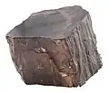 Wenn Holz versteinert, dann geschieht das durch Minerialien.