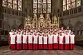 Die Regensburger Domspatzen sind ein Chor für Knaben und junge Männer.