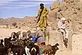 Leute vom Volk der Tuareg in Algerien