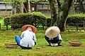 Gärtner in Japan: Die Hüte heißen Kasa und schützen vor der Sonne.