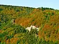 Ein Blick auf die Schwäbische Alb im Herbst