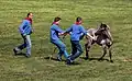 Wildpferdefang in Merfeld in Westfalen: Die Männer sind in traditioneller Kleidung zu sehen.