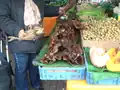 Auf dem Haagse Markt