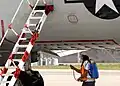 Auch Flugzeuge müssen von Schädlingen befreit werden.