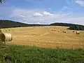 Zur Flur einer Gemeinde zählt man vor allem Felder und Äcker...