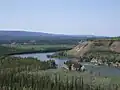Borealer Nadelwald am Yukon River in Alaska