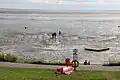 Vollerwiek in Schleswig-Holstein: Bei Ebbe kann man auf dem Meeresboden laufen.