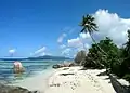 Strand auf den Seychellen