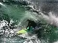 Surferin auf einer Welle