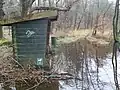 Ein Moor ist so nass, dass bei Regen die Wanderwege unter Wasser stehen können.