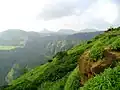 Westghats in Indien, Heimat vieler Tiere und Pflanzen