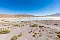 Ein Salzsee, Laguna Honda, in Bolivien. Er liegt über 4000 Meter hoch.