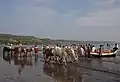 Fischer in Indien