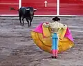 Ein Stierkampf in Aguascalientes in Mexiko: Der Torero fordert den Stier zum Angriff heraus.