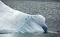 Bei den Südshetland-Inseln, nahe der Antarktis: Pinguine auf einem Eisberg.