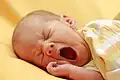 Schon Babys gähnen.