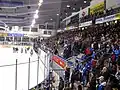 Im Stadion der Straubing Tigers