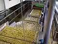 In einer Fabrik, die Kartoffeln in Streifen schneidet