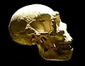 Wie die Menschen in der Steinzeit lebten, müssen die Archäologen aufgrund von Funden herausfinden.